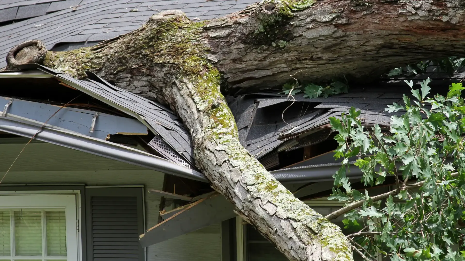 Storm Damage